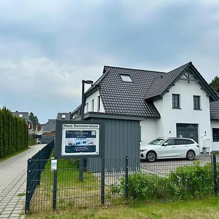 Dandelion - House Summer Meadow * 青斯特