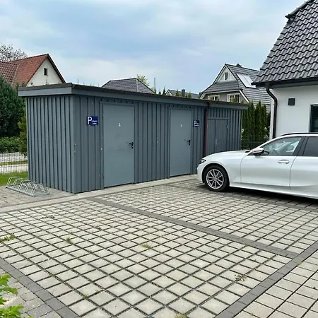 Dandelion - House Summer Meadow * 青斯特