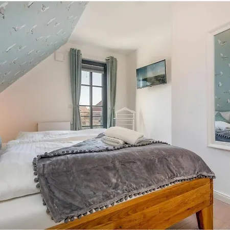 Dandelion - House Summer Meadow * 青斯特