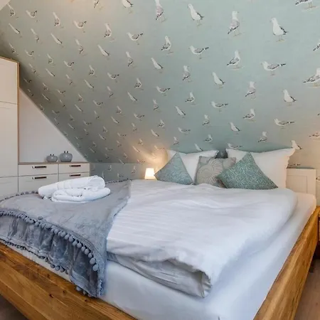 Dandelion - House Summer Meadow