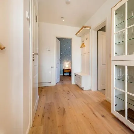 Dandelion - House Summer Meadow